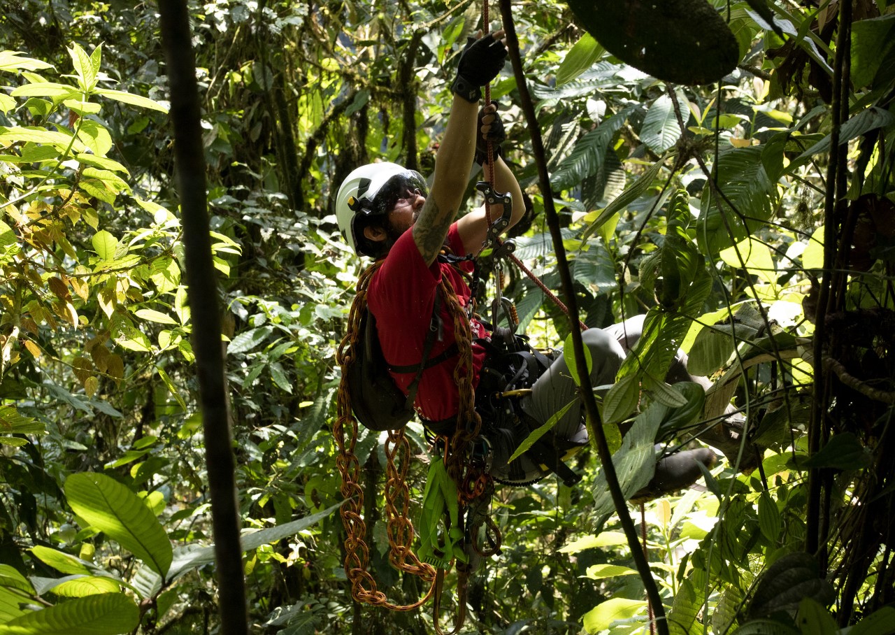 Thumbnail IMG 0034 copy